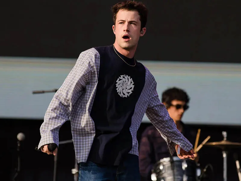 Wallows tickets